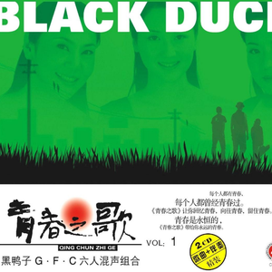 国产高清无码在线a片
